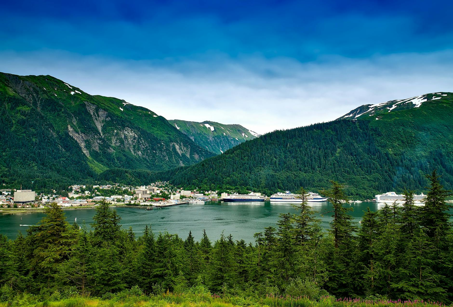 blue lake surrounded by mountains and green leaved trees during daytime